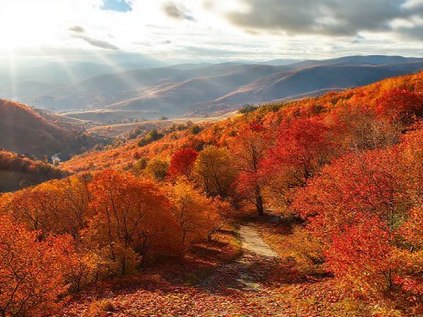 A breathtaking high-definition landscape of the Southland Region in New Zealand during autumn. Showcase vibrant trees in shades of red, orange, and gold, with rolling hills in the background. Include a peaceful path winding through the woods covered in fallen leaves, and hint at local festivities in the distance, with warm sunlight breaking through the clouds, illuminating the beauty of the season.