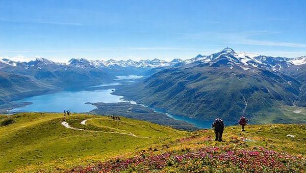 A breathtaking high definition image of The Remarkables mountain range in summer, showcasing lush green alpine meadows dotted with vibrant wildflowers under a clear blue sky. Include hikers on a winding trail, with panoramic views of Lake Wakatipu in the background, capturing the essence of outdoor adventure and tranquility in the beautiful Southern Alps of New Zealand.