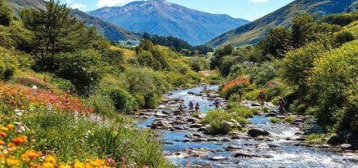 A picturesque summer scene in Upper Hutt District, New Zealand, showcasing vibrant flora and lush greenery under sunny skies. A serene river flows through the landscape, with joyful locals enjoying outdoor activities like hiking and picnicking. Captivating mountain views loom in the background. High definition.