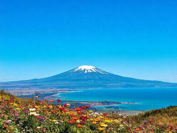 A breathtaking view of South Taranaki District in New Zealand, showcasing the majestic snow-capped Mount Taranaki under a bright blue sky, with colorful blooming flowers in the foreground and the wild Tasman Sea in the background. Include elements like serene beaches, rolling farmlands, and vibrant local festivals that highlight the district's cultural flair. The scene should reflect the beauty of each season: vibrant summer hues, autumn's golden foliage, winter's serene snow, and spring's blossoming flora, all in high definition.