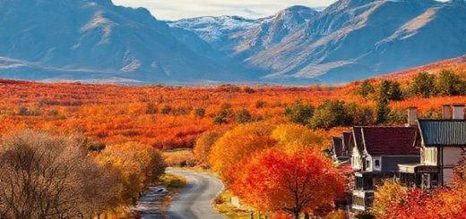 A high-definition image of the Waitaki District in New Zealand during autumn, showcasing a stunning landscape filled with vibrant red, gold, and orange foliage. Include dramatic views of the Moeraki Boulders against a bright, crisp sky, with a scenic drive lined by trees and quaint Victorian architecture in the background, reflecting the charm of Oamaru. Add a touch of local culture by depicting visitors enjoying artisanal cheese and the tranquility of the countryside.
