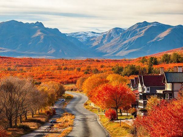 A high-definition image of the Waitaki District in New Zealand during autumn, showcasing a stunning landscape filled with vibrant red, gold, and orange foliage. Include dramatic views of the Moeraki Boulders against a bright, crisp sky, with a scenic drive lined by trees and quaint Victorian architecture in the background, reflecting the charm of Oamaru. Add a touch of local culture by depicting visitors enjoying artisanal cheese and the tranquility of the countryside.