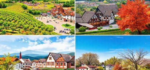 **Create a high-definition image of Landkreis Würzburg, beautifully showcasing the four distinct seasons. On the left, depict a vibrant summer landscape with lush vineyards and a bustling village square. In the center, illustrate a serene winter scene with snow-dusted architecture and festive Christmas markets. To the right, present a picturesque fall setting with trees in vivid red, orange, and yellow hues during grape harvest, and at the far end, a refreshing spring backdrop filled with blossoming flowers and greenery. Each section should reflect the unique charm of the season, merging into one captivating scene.**