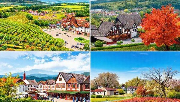 **Create a high-definition image of Landkreis Würzburg, beautifully showcasing the four distinct seasons. On the left, depict a vibrant summer landscape with lush vineyards and a bustling village square. In the center, illustrate a serene winter scene with snow-dusted architecture and festive Christmas markets. To the right, present a picturesque fall setting with trees in vivid red, orange, and yellow hues during grape harvest, and at the far end, a refreshing spring backdrop filled with blossoming flowers and greenery. Each section should reflect the unique charm of the season, merging into one captivating scene.**