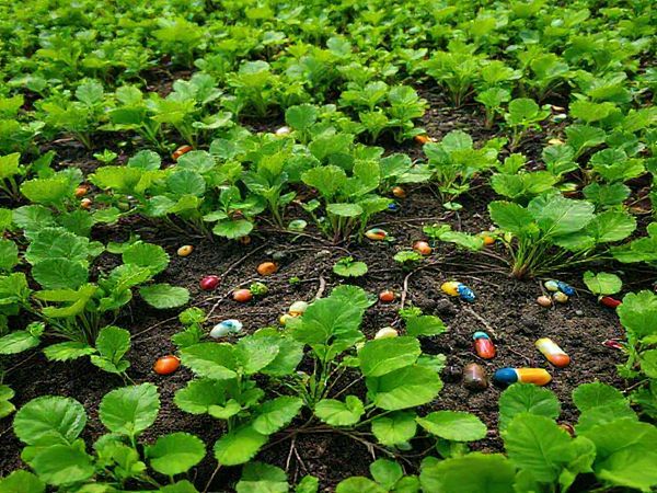A vivid high-definition image of a lush, green field dotted with vibrant leafy vegetables, intertwining roots visibly reaching into the soil, amidst a backdrop of recycling symbols and pharmaceutical capsules blending into the earth. The scene should capture both the beauty of sustainable agriculture and the hidden dangers of chemical contamination, conveying an intricate balance between innovation and caution in food production.