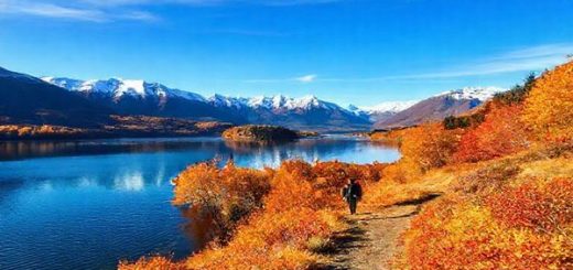 A breathtaking view of Lake Rotoiti in New Zealand during autumn, showcasing a serene landscape filled with vibrant golds, russets, and fiery oranges of fall foliage surrounding the crystal-clear lake. Snow-capped mountains emerge in the background under a bright blue sky, with a gentle breeze causing ripples on the water's surface. A solitary figure walks along a leafy trail, marveling at the beauty of nature, and the reflective lake mirrors the stunning scenery. Create this image in high definition.