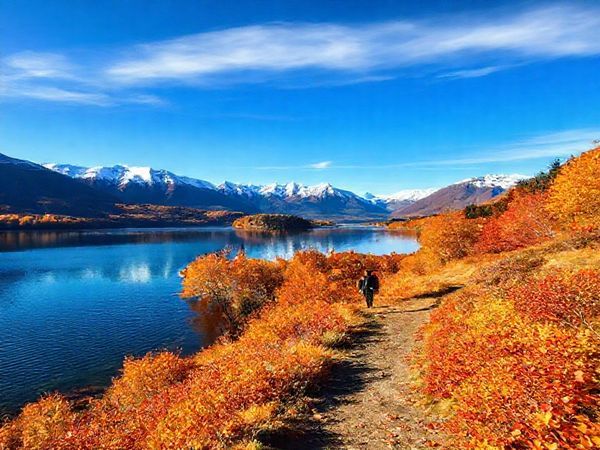 A breathtaking view of Lake Rotoiti in New Zealand during autumn, showcasing a serene landscape filled with vibrant golds, russets, and fiery oranges of fall foliage surrounding the crystal-clear lake. Snow-capped mountains emerge in the background under a bright blue sky, with a gentle breeze causing ripples on the water's surface. A solitary figure walks along a leafy trail, marveling at the beauty of nature, and the reflective lake mirrors the stunning scenery. Create this image in high definition.